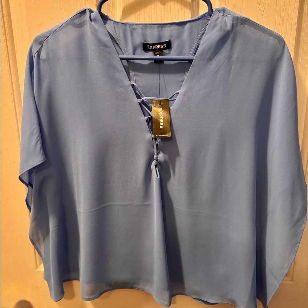 Express Women's Light Blue V-Neck Blouse